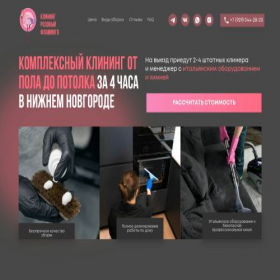 Скриншот главной страницы сайта pink-flamingonn.ru