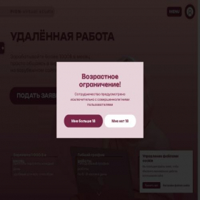 Скриншот главной страницы сайта pion.agency