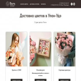 Скриншот главной страницы сайта pion03.ru