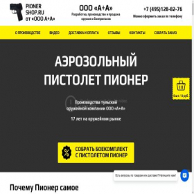 Скриншот главной страницы сайта pioner-shop.ru