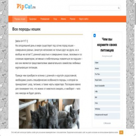 Скриншот главной страницы сайта pipcat.ru