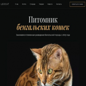 Скриншот главной страницы сайта pirimnik1.ukit.me