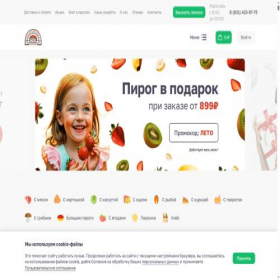 Скриншот главной страницы сайта pirognn.ru