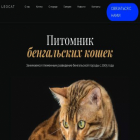 Скриншот главной страницы сайта pitomnik2023.ulcraft.com