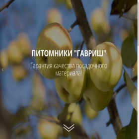 Скриншот главной страницы сайта pitomniki-gavrish.ru