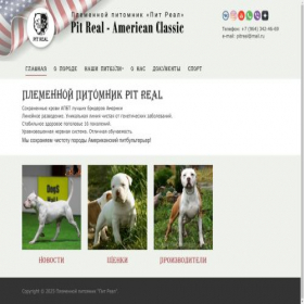 Скриншот главной страницы сайта pitreal.ru