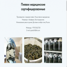 Скриншот главной страницы сайта piyavki24.tilda.ws