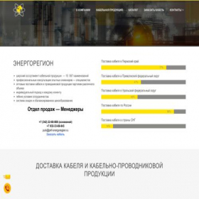 Скриншот главной страницы сайта pkf-energoregion.ru