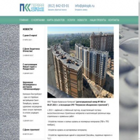 Скриншот главной страницы сайта pkkspb.ru