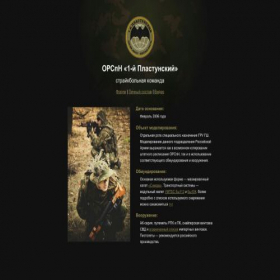 Скриншот главной страницы сайта plastun-kuban.ru