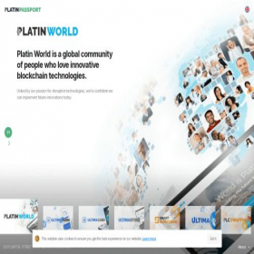 Скриншот главной страницы сайта platin-passport.com