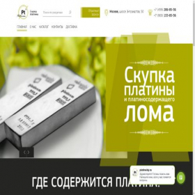 Скриншот главной страницы сайта platinoidy.ru