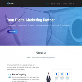 Скриншот главной страницы сайта plentyadvertising.com
