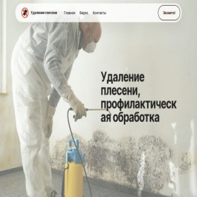 Скриншот главной страницы сайта plesen-off.ru