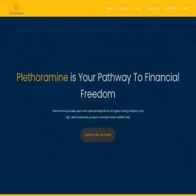 Скриншот главной страницы сайта plethoramine.com