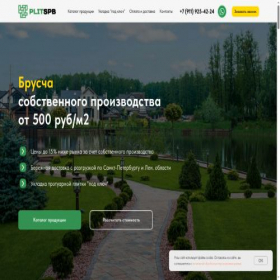Скриншот главной страницы сайта plitspb.ru