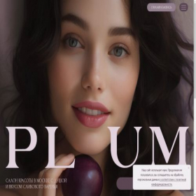 Скриншот главной страницы сайта plum-moscow.ru