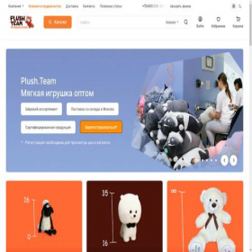 Скриншот главной страницы сайта plush.team