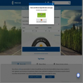 Скриншот главной страницы сайта pneus.be