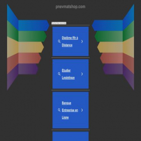 Скриншот главной страницы сайта pnevmatshop.com