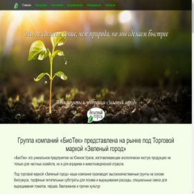 Скриншот главной страницы сайта pochvogrunt74.ru