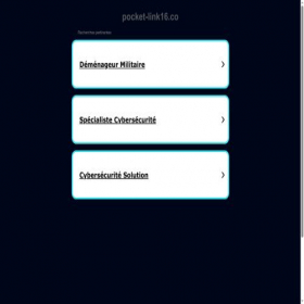 Скриншот главной страницы сайта pocket-link16.co