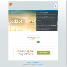 Скриншот главной страницы сайта pocket-link17.co