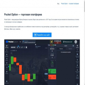 Скриншот главной страницы сайта pocket-option.ru