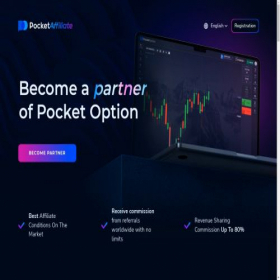 Скриншот главной страницы сайта pocketaffiliate.com