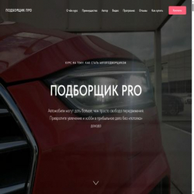 Скриншот главной страницы сайта podborshik.pro
