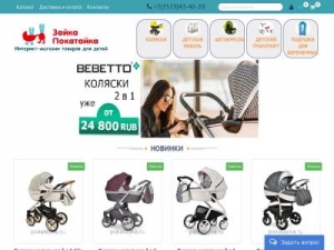 Скриншот главной страницы сайта pokatayka.ru