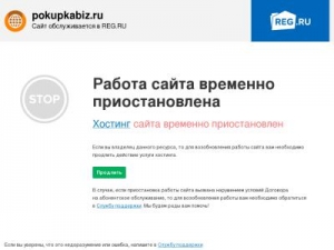 Скриншот главной страницы сайта pokupkabiz.ru