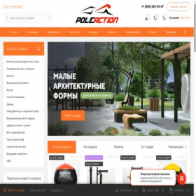 Скриншот главной страницы сайта poleaction.ru