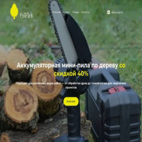 Скриншот главной страницы сайта poliplink.ru
