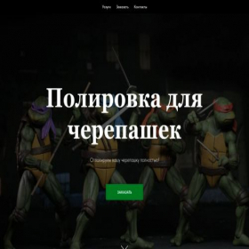 Скриншот главной страницы сайта politurtles.tilda.ws