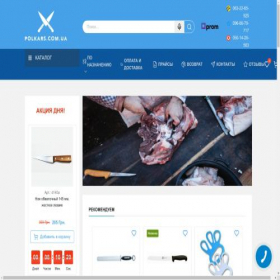 Скриншот главной страницы сайта polkars.com.ua