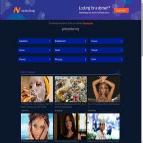 Скриншот главной страницы сайта polmarket.org