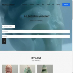 Скриншот главной страницы сайта polska.company