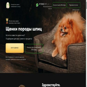 Скриншот главной страницы сайта pomeranian-de-luxe.ru
