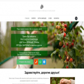 Скриншот главной страницы сайта posadisad.site