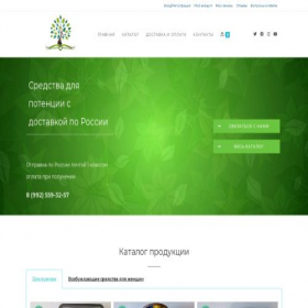 Скриншот главной страницы сайта potensiy-24.ru