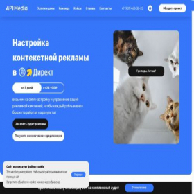 Скриншот главной страницы сайта ppc.apimedia.ru