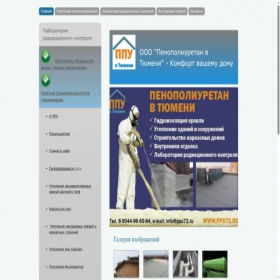 Скриншот главной страницы сайта ppu72.ru