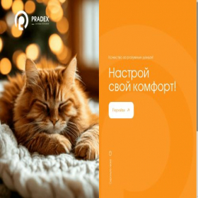 Скриншот главной страницы сайта pradex18.ru