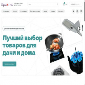 Скриншот главной страницы сайта praktik-dv.ru