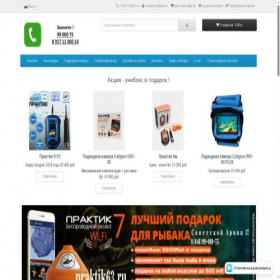 Скриншот главной страницы сайта praktik63.ru
