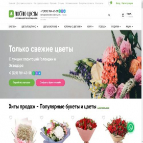 Скриншот главной страницы сайта pravdinsk.dostavka-cvetov24.ru