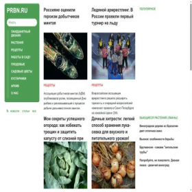Скриншот главной страницы сайта prbn.ru