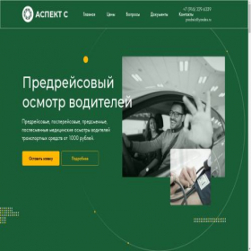 Скриншот главной страницы сайта predreis.info