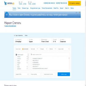 Скриншот главной страницы сайта premium-sletat.ru